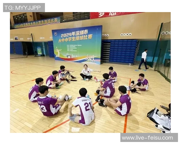 2017年广东队与深圳队半决赛精彩回顾与赛场瞬间分析