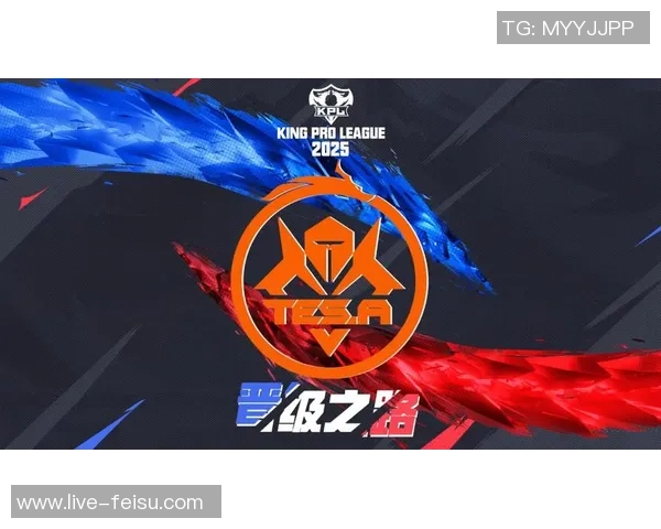 TES战队转型之路：成败得失与未来展望分析