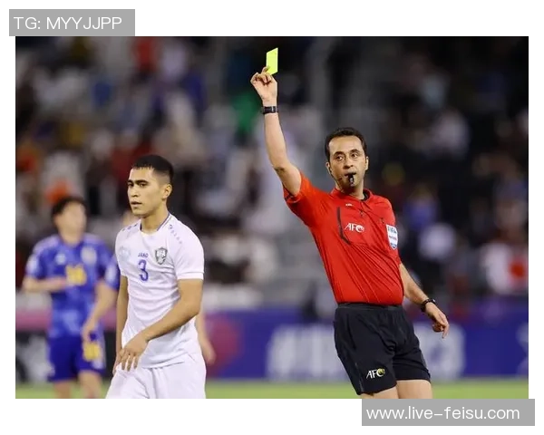 伊朗与日本裁判组的较量背后隐藏的故事与争议分析