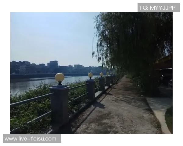 坎昆与扎卡特卡斯的魅力对决：探索两地独特风情与旅游体验