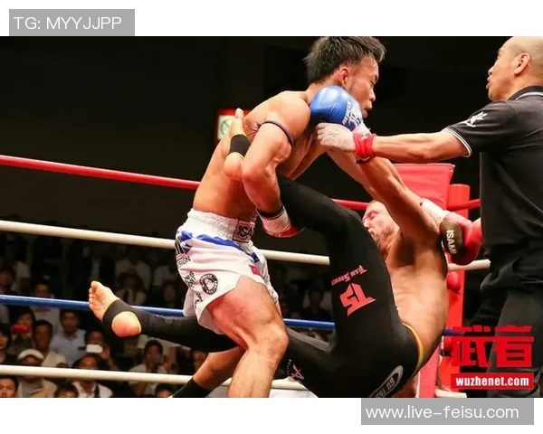 日菜太与安迪苏瓦的巅峰对决谁将赢得最终胜利与荣耀