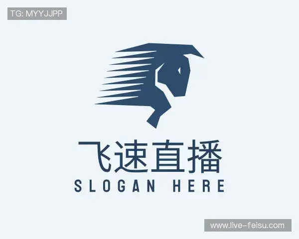 了解飞速体育直播